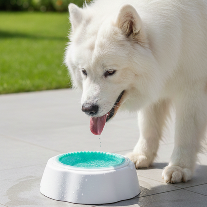 Cuenco Glacial CaneBowl